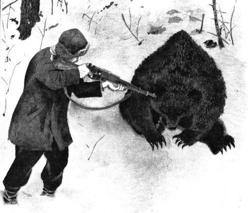 Удивительные звери<br />(Повесть, рассказы, очерки) - i_042.jpg