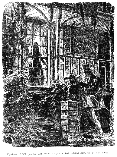 Квартеронка - i_09.png