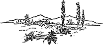 Страшный человек и кот Васька<br />(Рассказы) - i_013.png