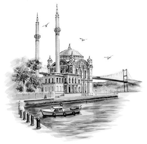 На берегах Босфора. Стамбул в рецептах, историях и криках чаек - i_007.jpg