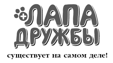 Где прячется котёнок? - i_001.png