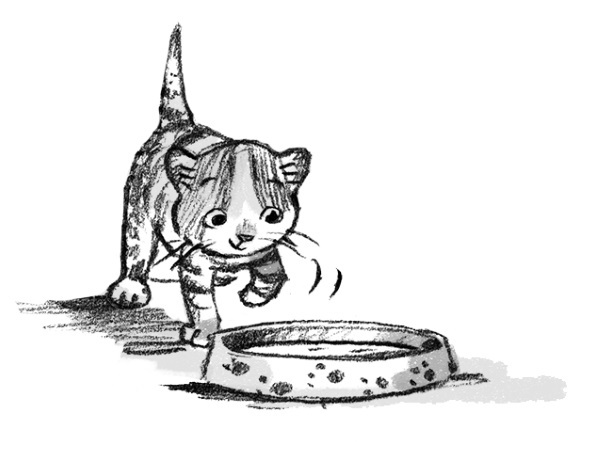 Где прячется котёнок? - i_003.jpg