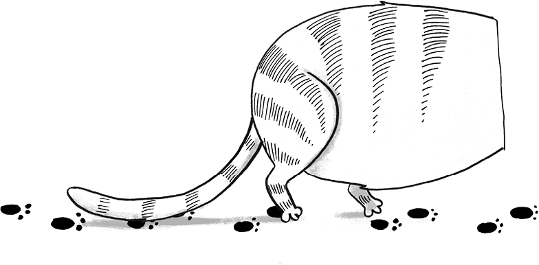 Суперкот и Картофельный вор - i_010.png