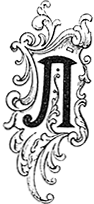 В стране контрастов - i_004.png