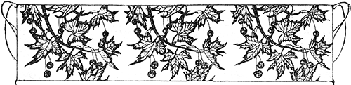 В стране контрастов - i_073.png