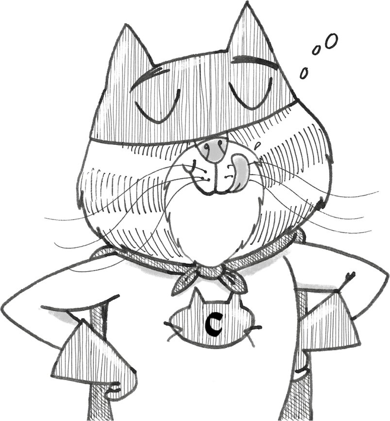 Суперкот и Фальшивый король - i_006.png