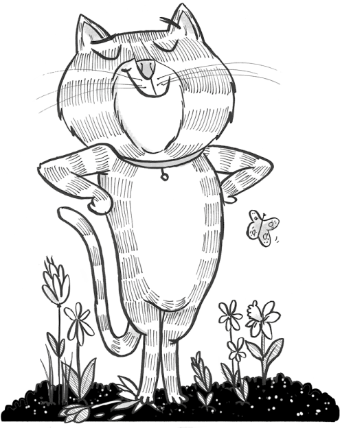 Суперкот и Фальшивый король - i_021.png