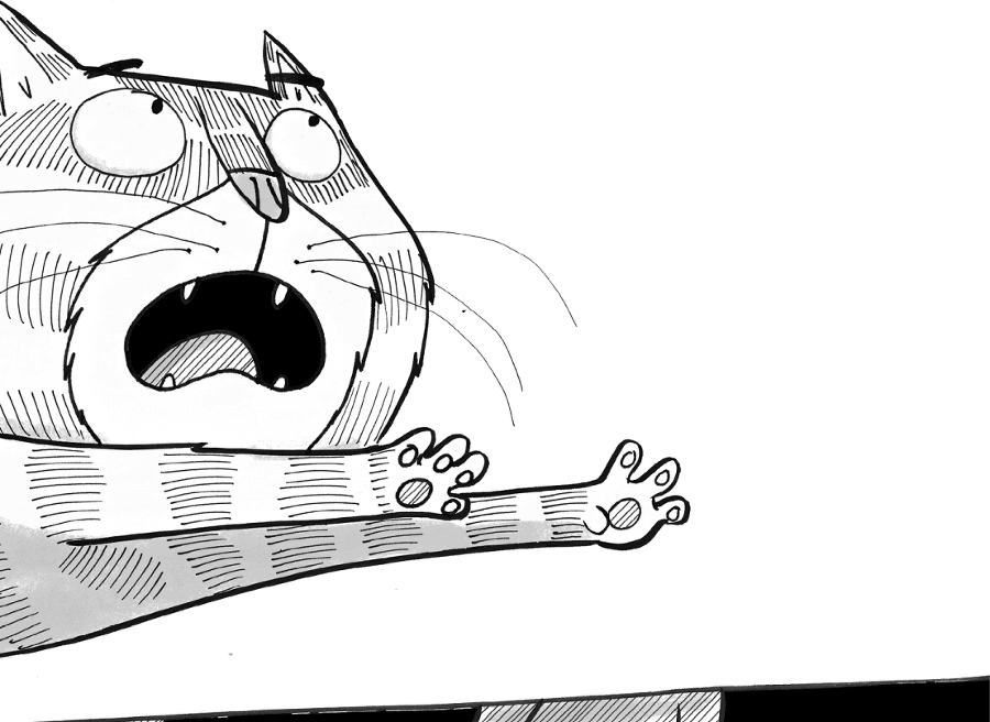 Суперкот и Фальшивый король - i_033.png