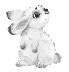 Загадка белого кролика - i_003.png