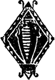 Афганские сказки - i_009.png