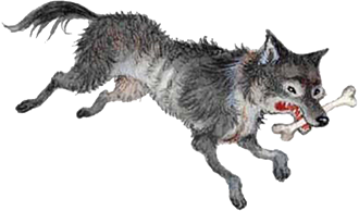 Рыжий пес<br />(Алтайские народные сказки) - i_072.png