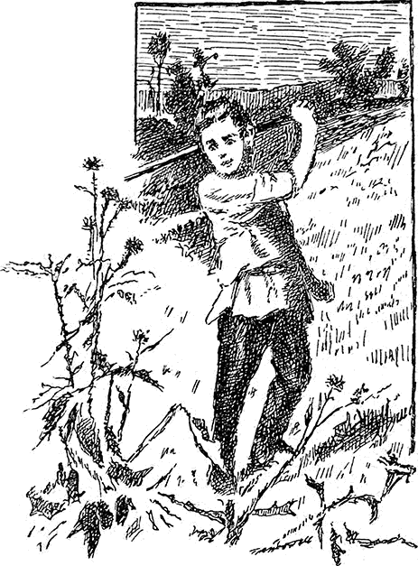 Живые примеры<br />(Рассказы для детей младшего возраста) - i_015.png