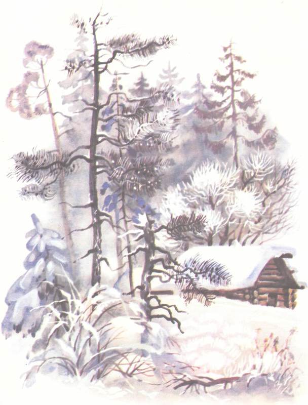 Зимовье на Студеной - i_005.jpg