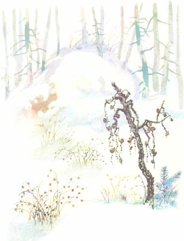 Зимовье на Студеной - i_021.jpg