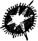 Далекие горнисты<br />(Повести и рассказы) - i_029.png