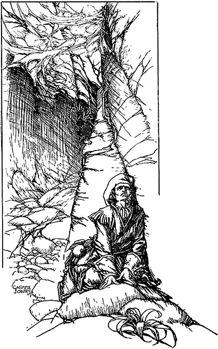 Арахна<br />(Большая книга рассказов о пауках) - i_014.png