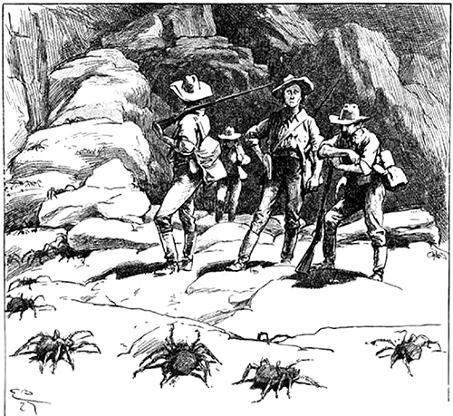 Арахна<br />(Большая книга рассказов о пауках) - i_022.png