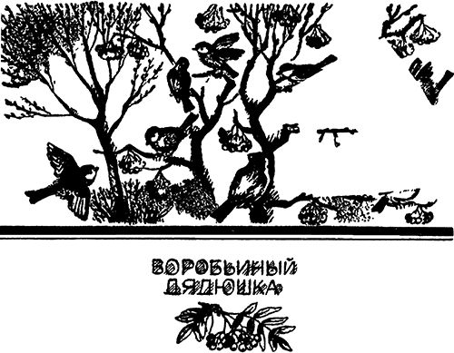 По лесным тропинкам<br />(Рассказы и сказки) - i_024.png