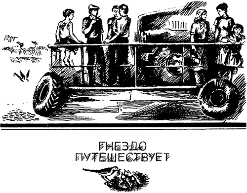 По лесным тропинкам<br />(Рассказы и сказки) - i_025.png