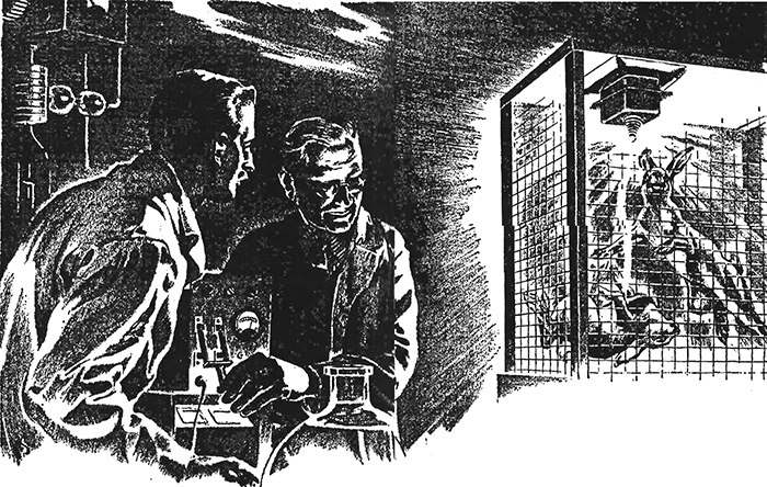 Исчезновение (сборник) - i_014.png