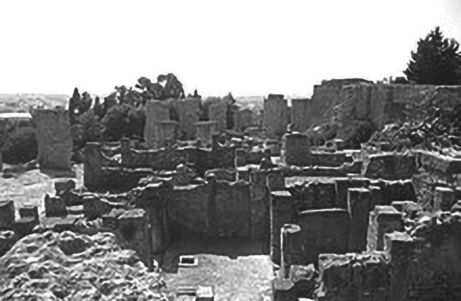 Тунис. Альбом-путеводитель - i_003.jpg