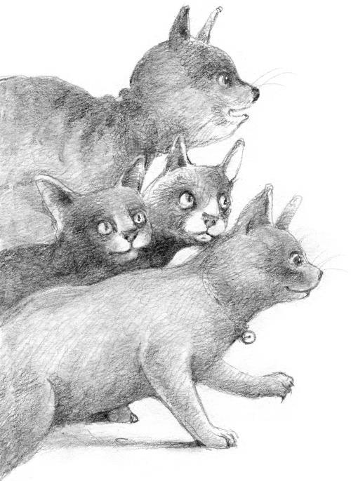 Кот Тихон, или Похищение Голландца - i_002.jpg