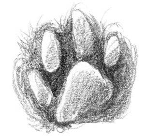 Кот Тихон, или Похищение Голландца - i_015.jpg