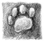 Кот Тихон и новые знакомые - i_016.jpg