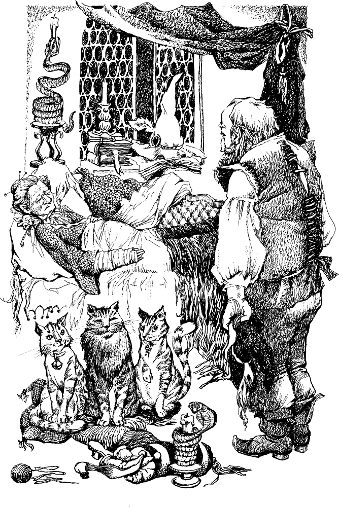 Темный Властелин Деркхольма - i_013.png