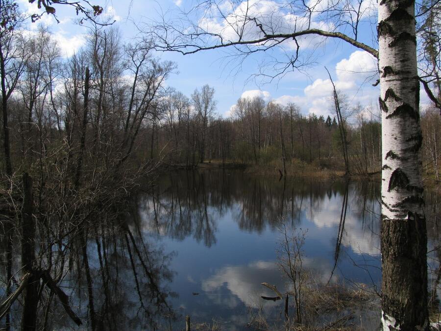 Граф Наумов (СИ) - img_18
