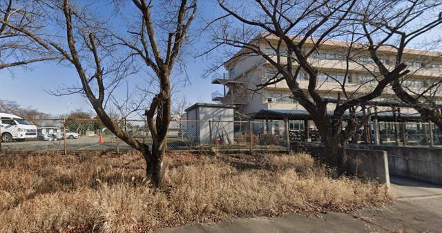 Пульс (СИ) - img_49
