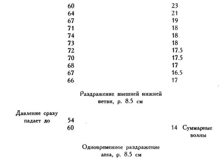 Павлов И.П. Полное собрание сочинений. Том 1 - img_170