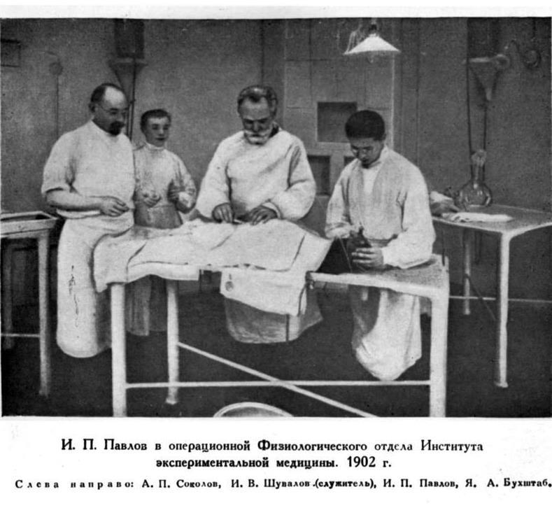 Павлов И.П. Полное собрание сочинений. Том 2. Часть 2 - img_73
