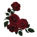Отравленные клятвы (ЛП) - img_3