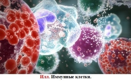 Антология №2. Философский юмор, Для взрослых - img_16