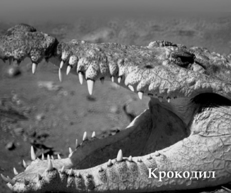 Антология №2. Философский юмор, Для взрослых - img_99