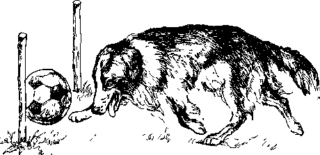 Среди Йоркширских холмов - i_026.png
