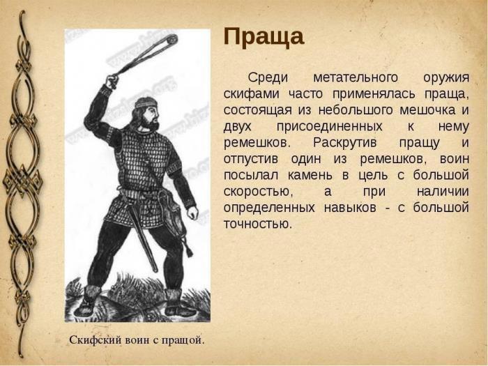 Паладин развивает территорию (СИ) - img_64