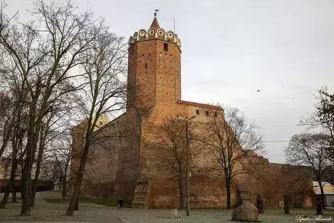 Польская карта (СИ) - img_9
