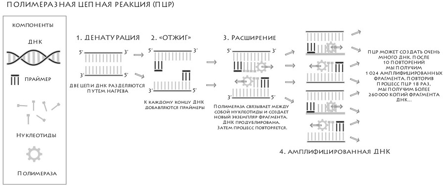 Мир до нас: Новый взгляд на происхождение человека - img_13
