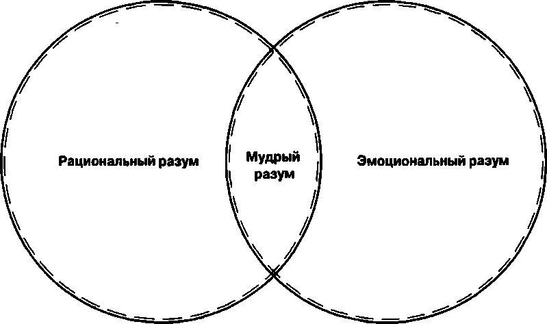 Руководство по тренингу навыков при терапии пограничного расстройства личности - img_5