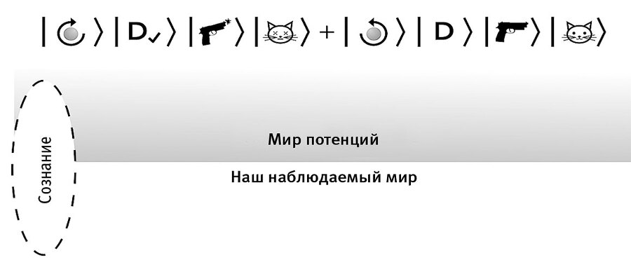 Это всё квантовая физика! Непочтительное руководство по фундаментальной природе всего - img_40