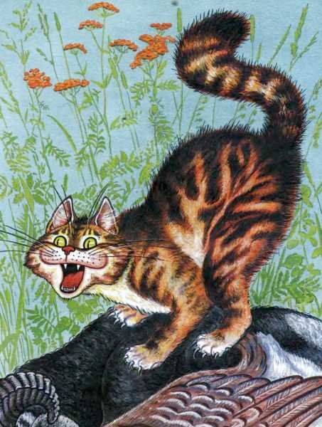 Кот и лиса - i_014.jpg
