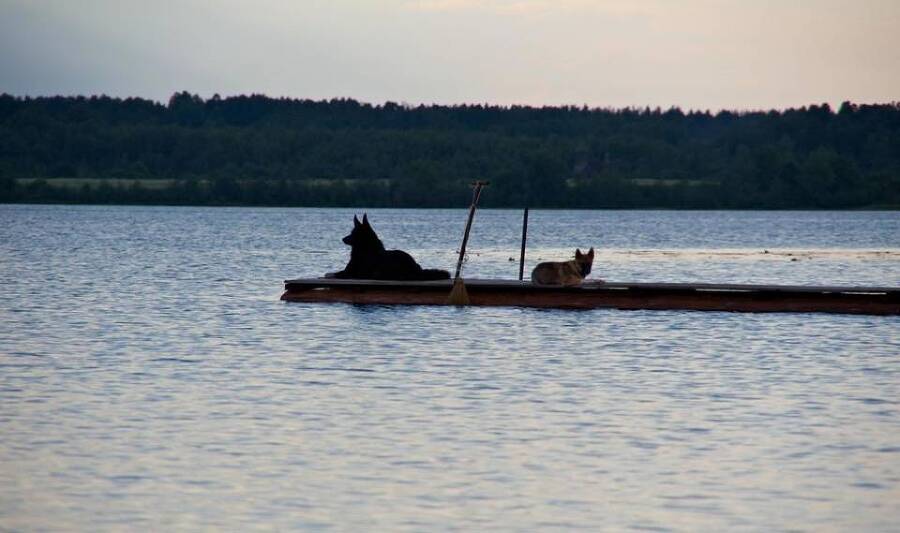 Опричники (СИ) - img_21