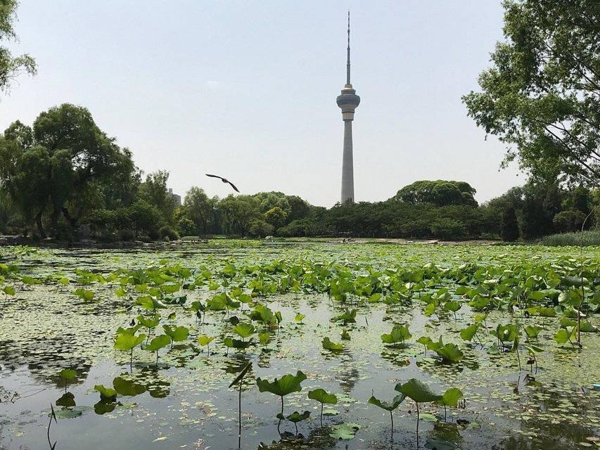 Белая ворона (СИ) - img_2
