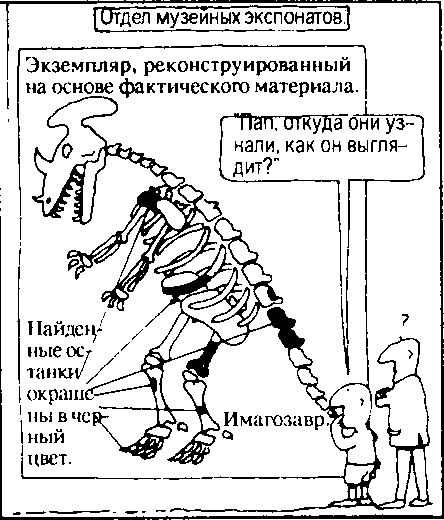 Кен Хэм Эндрю Снеллинг Карл Вилэнд КНИГА ОТВЕТОВ Ответы на 12 наиболее часто задаваемых вопросов о книге бытия, творении и эволюции - i_02.png