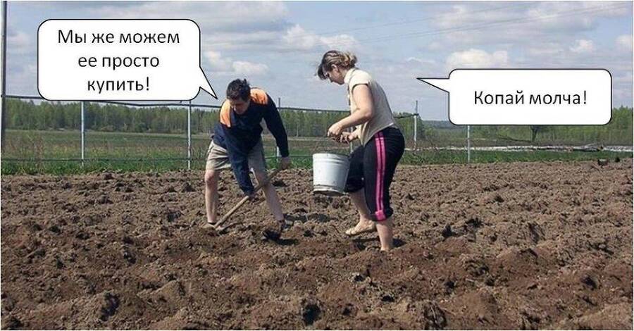 Типичный огородник 2 (СИ) - img_76