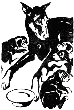 Воспитай себе друга - i_003.png