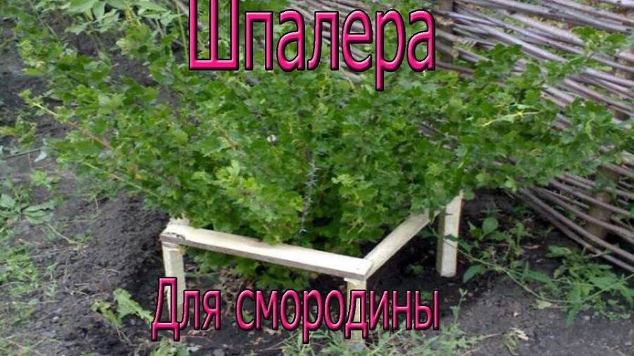 Типичный огородник 3 (СИ) - img_48