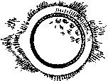 Фата-Моргана 7 (Фантастические рассказы и повести) - img_13.png